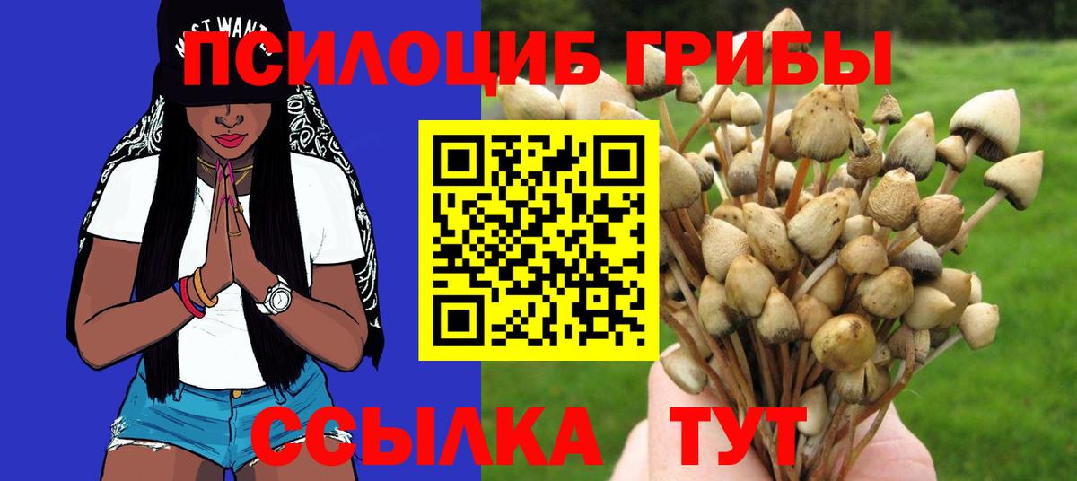 Псилоцибиновые грибы MAGIC MUSHROOMS  Вход с VPN  Владивосток  Псилоцибиновые грибы GOLDEN TEACHER 