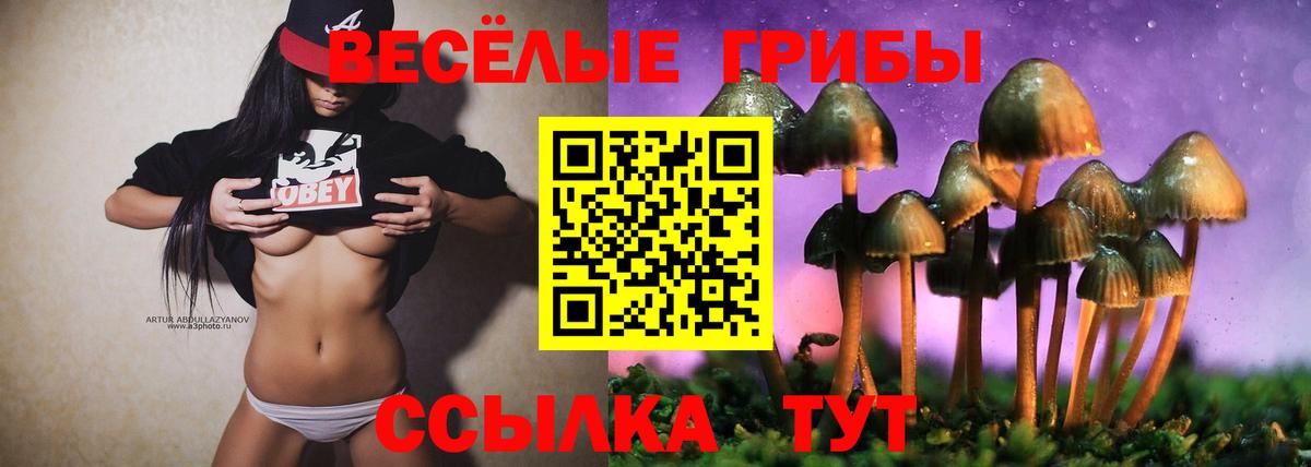 Галлюциногенные грибы мухоморы Владивосток